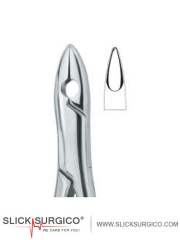 Dental Extracting Forceps Incisors and Bicuspids american Pattern Fig.1