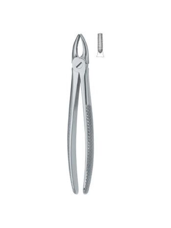 Dental Extracting Forceps Incisors and Bicuspids English Pattern Fig.1