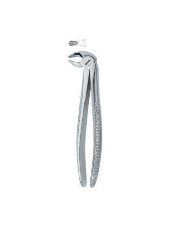 Dental Extracting Forceps Molars English Pattern Fig.22