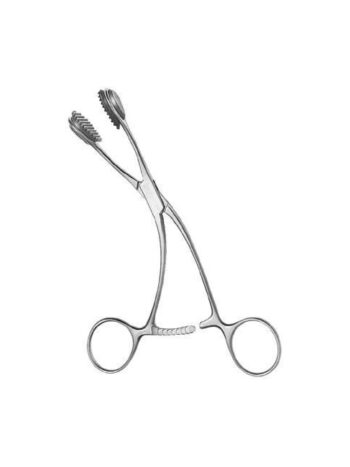 Young Tongue Holding Forceps 15cm