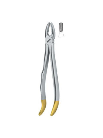 Dental Extracting Forceps Incisors and cuspids English Pattern Fig.1 Daim