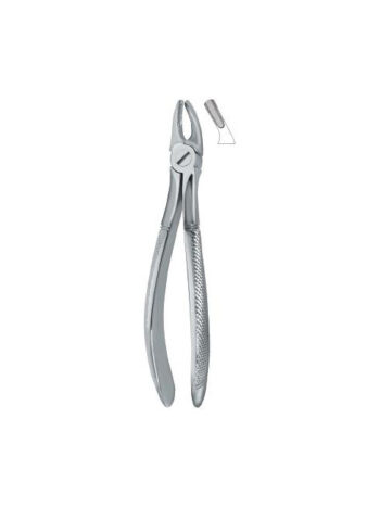 Dental Extracting Forceps Molars English Pattern Fig.39