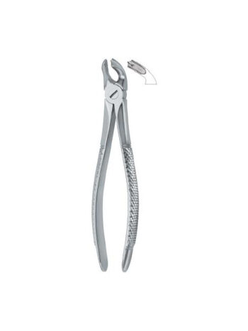 Dental Extracting Forceps Molars English Pattern Fig.40