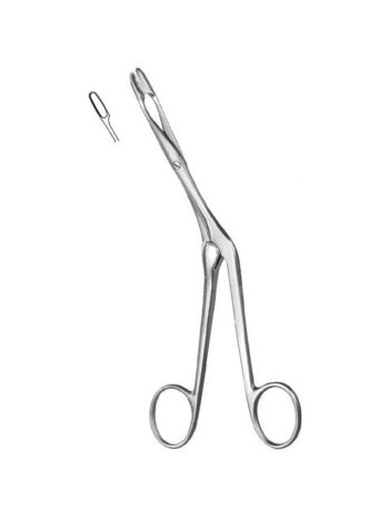 Knight Septum Forceps 17cm
